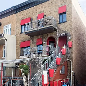 3* Hotel Petit - Café Krieghoff